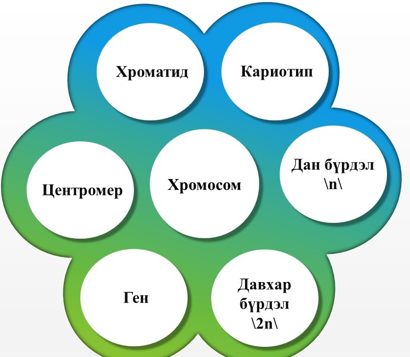 Мэдлээ | Цахим контент